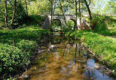 Tocht Te voet Doksy - NS Se Čtyřlístkem okolo Blaťáku - Photo