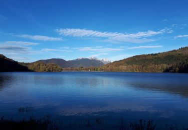 Tour Wandern Laffrey - Tour du Grand Lac de Laffrey en circuit - Photo