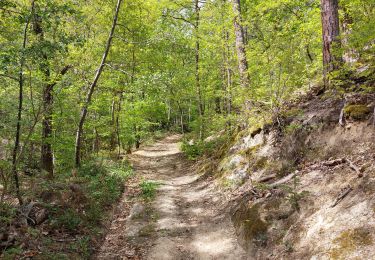 Trail Walking Châtel-Guyon - VALLEE DE SANS SOUCI - CHATEAU DE CHAZERON - Photo