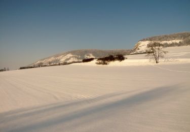 Randonnée A pied Löberschütz - Alter Gleisberg weiss-gelb-weiss - Photo