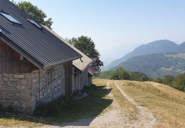 Percorso Marcia Sainte-Reine - Routhennes - col du potat - Photo