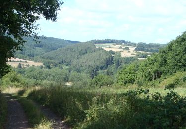 Trail Walking Wellin - RB-Lu-25_Wellin_via-racc-2 - Photo