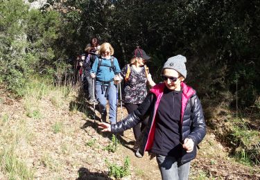 Tour Wandern Pierrefeu-du-Var - Pierrefeu  - Photo