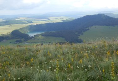 Excursión Senderismo Chambon-sur-Lac - Super Besse Puy Sancy 9km - Photo