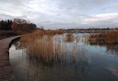 Percorso Marcia Monteux - lac de monteux  - Photo