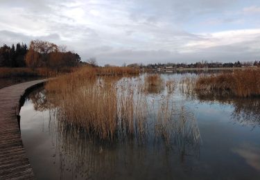 Randonnée Marche Monteux - lac de monteux  - Photo