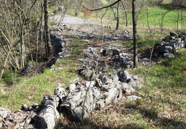 Tour Zu Fuß Zizan - Teranova krožna pot Dutovlje - Photo