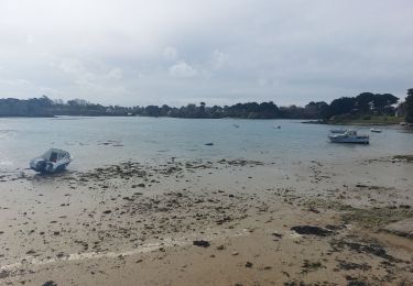 Excursión Senderismo Île-de-Bréhat - Brehat du Nord au Sud - Photo