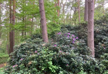 Tour Wandern Wavre - Limal vers Bois de Lauzelle par le Jardin des Moines  - Photo