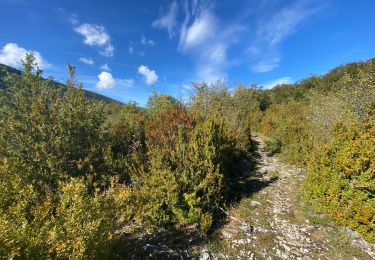 Trail Walking La Chapelle-en-Vercors - Belvédère de Remoulat  - Photo