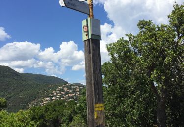 Tour Wandern Cavalaire-sur-Mer - Cavalaire 2  - Photo