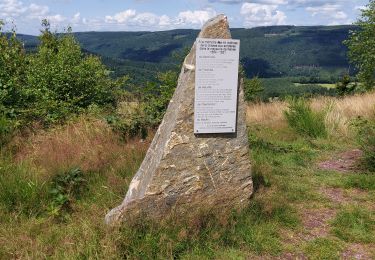 Excursión Senderismo Stoumont - Rahier _ Marche Adeps _ LIEG - Photo