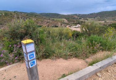 Trail Walking La Croix-Valmer - Gigaro cap Taillat - Photo