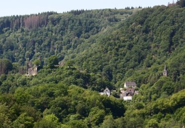 Randonnée A pied Thalhausen - Wäller Tour Iserbachschleife - Photo