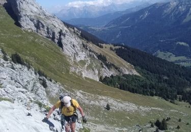 Tour Wandern Le Reposoir - au dessus de la grotte de motarquis - Photo