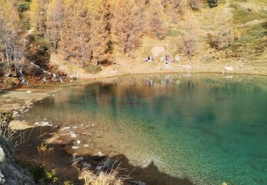 Tocht Stappen Evolène - lac bleu - Photo