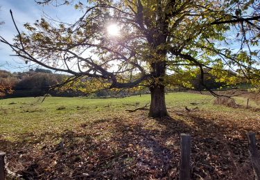 Trail Walking Bersac-sur-Rivalier - Bersac-sur-Rivalier - Beaubiat - 5,5 km - Photo