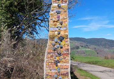 Tocht Stappen Fréland - CVL - Rando 25/03/2024 - Col de Chamont - Photo