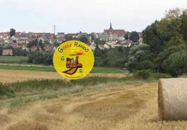 Tour Wandern Dammartin-en-Goële - MR_PR-DAMMARTIN-en-GOËLE_5.9Km - Photo