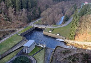 Percorso Marcia Baelen - eupen  hutte  - Photo