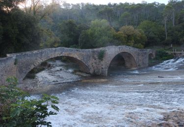 Trail Walking Vins-sur-Caramy - Vins sur Caramy-15-10-21 - Photo