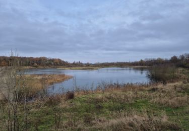 Randonnée Marche Libercourt - Les étangs de Libercourt - Photo