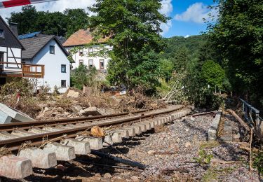 Randonnée A pied Kall - EifelSchleife Von Bären und Bärlauch - Photo