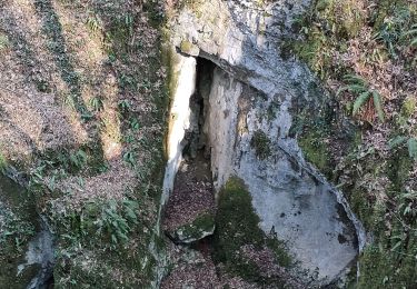 Trail Walking Dinant - Anseremme  - Photo
