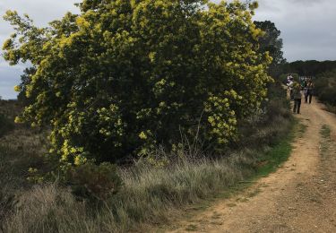 Trail Walking Fourques - Fourques chemin des histoires et forêt du Reart  - Photo
