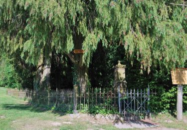 Excursión A pie Fellbach - DE-SAV Roter Balken, von - nach Oeffingen - Photo