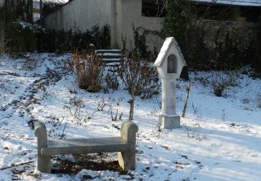 Tour Zu Fuß Pöllau - Wanderweg 5 - Photo