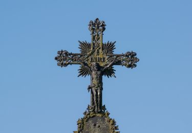 Tour Zu Fuß Altenbeken - Schwaneyer Panoramaweg - Photo