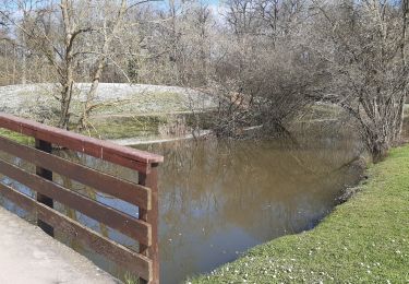 Excursión Senderismo Boissy-Saint-Léger - parc bruyère  sucy - Photo