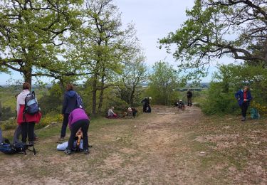 Trail Walking Fontainebleau - blo mare aux evees - Photo