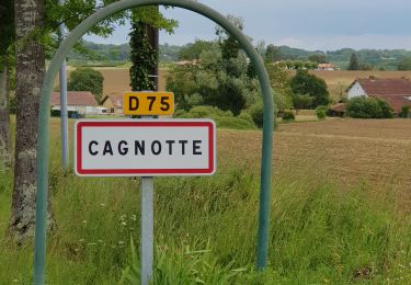Randonnée V.T.T. Orthevielle - parcours vert Peyrehorade - Photo