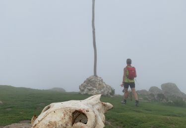 Randonnée Marche Itxassou - Pas roland - Photo