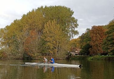 Trail Rowing Poses - aviron - Photo