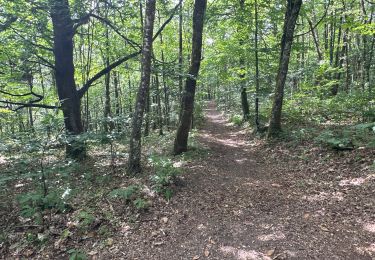 Tocht sport Saint-Pardoux-le-Lac - Du site de Freaudourd boucle par Masmaraud - Photo