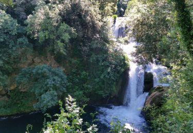 Tocht Stappen Carcès - cascade du caramy - Photo