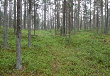 Randonnée A pied Hailuoto - Kirkonkylä/Ojakylä–Keskiniemi–Marjaniemi - Photo