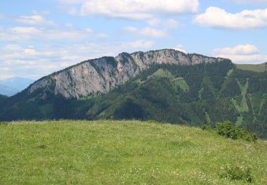 Randonnée A pied Fladnitz an der Teichalm - Wanderweg 2 - Photo