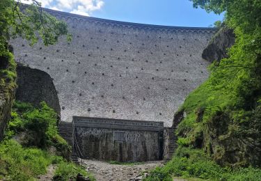 Tour Klettersteig Planfoy - via ferrata planfoy 04juin2021  - Photo