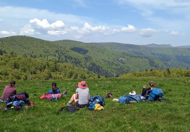 Tour Wandern Metzeral - 2023-05-21 Marche Firstmiss vers Schnepfenried - Photo