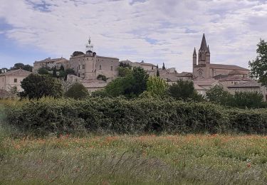 Tour Wandern Valliguières - Valliguieres - comble de Vayer - Photo