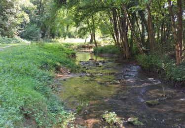 Trail Walking Onhaye - boucle Foy La heronniere - Photo