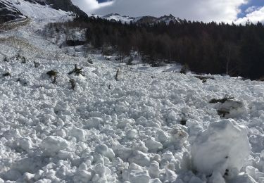 Tocht Noords wandelen Pralognan-la-Vanoise - Refuge de la pêche  - Photo