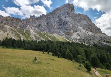 Trail Walking San Martin de Tor - San Martino in Badia - St. Martin in Thurn - Vom Würzjoch um dem Peitlerkofe - Photo
