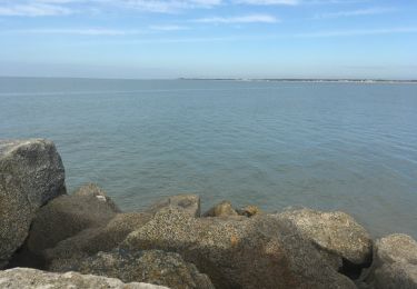 Trail Walking La Rochelle - Port de Pêche  - Photo