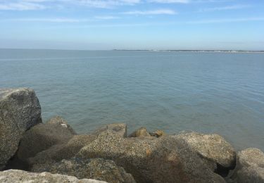 Excursión Senderismo La Rochelle - Port de Pêche  - Photo