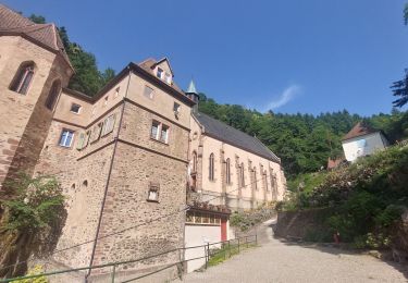 Trail Walking Ribeauvillé - Ribeauvillé et les 3 Châteeaux par le Monastère de Dusenbach - Photo